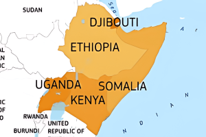 Is the Horn of Africa Under Threat of Losing Foreign Direct Investment?