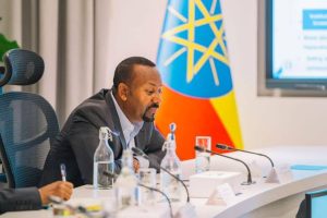 Ethiopia Opens Up Retail, but with High Bar for Entry