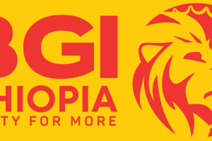 BGI-Ethiopia and Purpose Black Settle Dispute Over Headquarters Sale